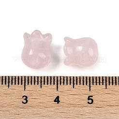 Natural Rose Quartz Beads&nbsp;G-Z065-12