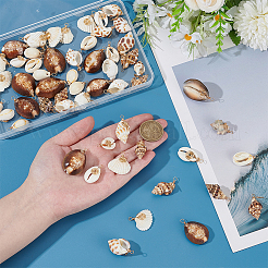 60Pcs 6 Style Natural Shell Pendants&nbsp;PALLOY-ME00019