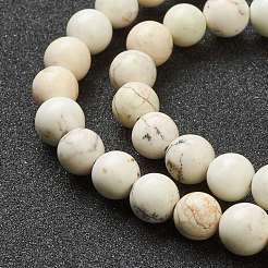 Nrtutal Magnesite Beads Strands&nbsp;G-L575-01C