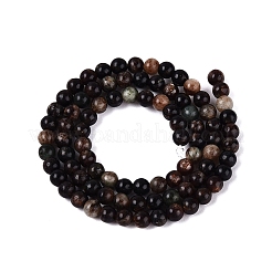 Natural Biotite Beads Strands&nbsp;G-Q616-01A