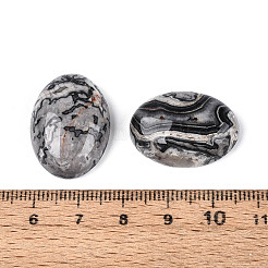 Natural Map Stone Cabochons&nbsp;G-T144-76B