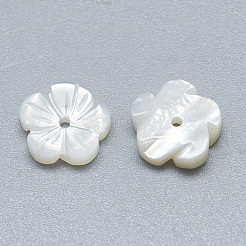 Natural White Shell Beads&nbsp;SSHEL-S260-010