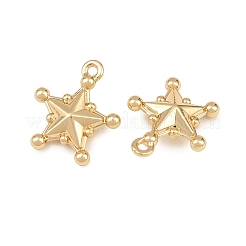 Alloy Pendants&nbsp;AL-CBAD42D-01G