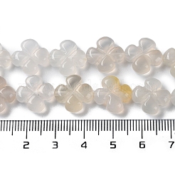 Natural White Agate Beads Strands&nbsp;G-M418-D03-01