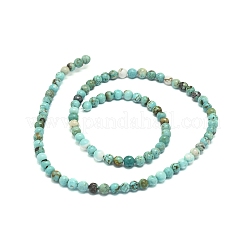 Natural Howlite Beads Strands&nbsp;G-L555-02-6mm