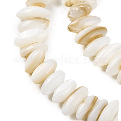 Natural Anomaly Freshwater Shell Beads Strands&nbsp;BSHE-S304-05B