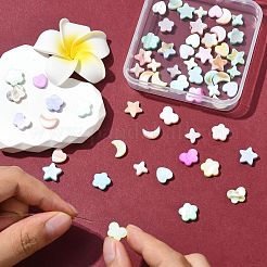 60Pcs 6 Styles Macaron Color Natural Shell Dyed Beads&nbsp;BSHE-CJ0001-13
