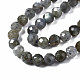Natural Labradorite Beads Strands&nbsp;G-T108-61-3