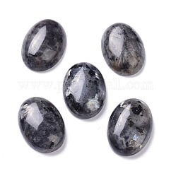 Natural Black Larvikite Cabochons, Oval, 25x18x7mm
