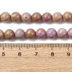 Natural Lepidolite/Purple Mica Stone Beads Strands&nbsp;G-K401-A01-6mm