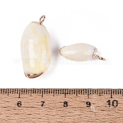 Electroplate Natural Sea Shell Pendants&nbsp;SSHEL-Q100-05KCG-02