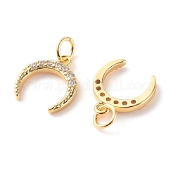 Brass Micro Pave Clear Cubic Zirconia Pendants&nbsp;X-ZIRC-P094-24G-RS
