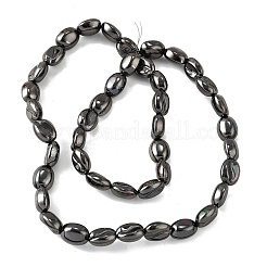 Electroplate Glass Beads Strands&nbsp;EGLA-V001-04