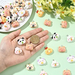20Pcs Opaque Resin Pendants&nbsp;RESI-YW0005-60