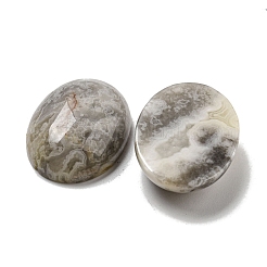 Natural Crazy Agate Cabochons&nbsp;G-C115-01B-33