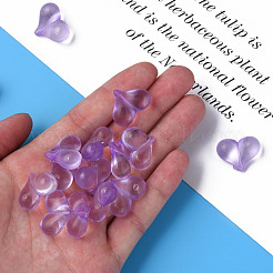 Transparent Acrylic Beads&nbsp;MACR-S373-70-B14