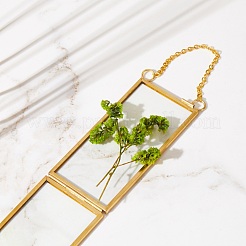 Brass Glass Hanging Photo Frame&nbsp;HJEW-SZ0001-01G