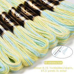 10 Skeins 6-Ply Polyester Embroidery Floss&nbsp;OCOR-CY0004-38I