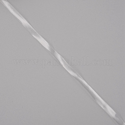 Flat TPU(Thermoplastic Polyurethane) Elastic Ribbon&nbsp;EW-WH0003-13A