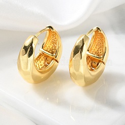 Brass Hoop Earrings&nbsp;EJEW-S249-04G