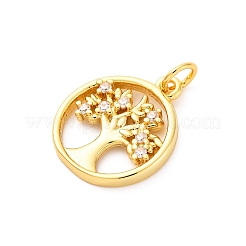 Brass Micro Pave Cubic Zirconia Pendants&nbsp;KK-D325-57G-01