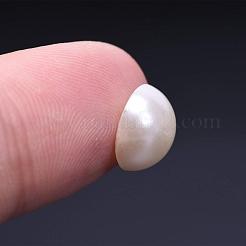ABS Plastic Imitation Pearl Cabochons&nbsp;OACR-S019-01