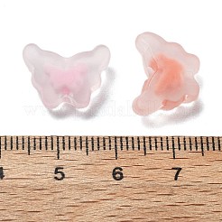 Frosted Transparent Acrylic Beads&nbsp;OACR-A032-23