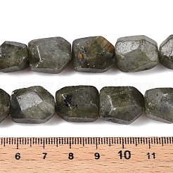 Natural Labradorite Beads Strands&nbsp;G-N342-146