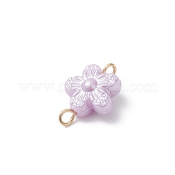 Acrylic Connector Charms&nbsp;PALLOY-JF04334-01
