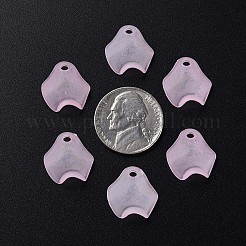 Transparent Acrylic Beads&nbsp;MACR-S373-106-D05