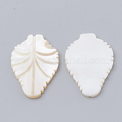 Freshwater Shell Cabochon&nbsp;SHEL-Q020-14B