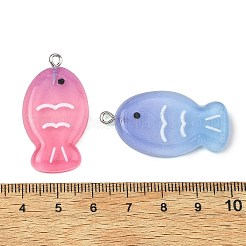 Transparent Resin Pendants&nbsp;RE-T003-04