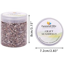Sea Shell Beads&nbsp;SSHEL-PH0002-36