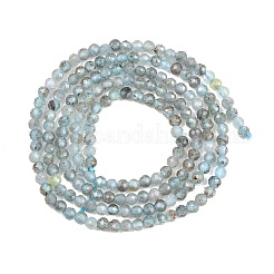 Natural Apatite Beads Strands&nbsp;G-RM250104-C5