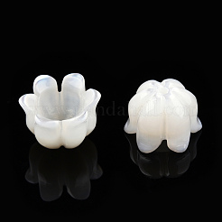 Natural White Shell Bead Caps&nbsp;SSHEL-N032-58B