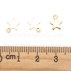 304 Stainless Steel Charms&nbsp;STAS-F159-43G