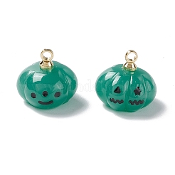 Halloween Opaque Resin Charms&nbsp;LS-RESI-E018-01A