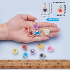 80Pcs 20 Style Plastic/Resin Frosted Pendants&nbsp;FIND-MP0001-01