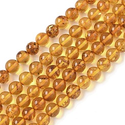 Natural Amber Beads Strands&nbsp;G-L095-B01-6mm-02