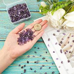 Natural Amethyst Chip Beads&nbsp;G-SC0001-21