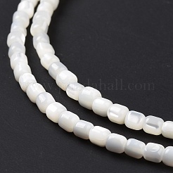 Natural Trochus Shell Beads Strands&nbsp;SSHEL-H070-02G