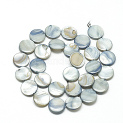 Natural Shell Beads Strands&nbsp;X-PBB251Y-3