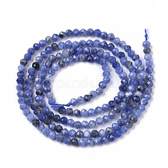 Natural Sodalite Beads Strands&nbsp;G-S361-2mm-004
