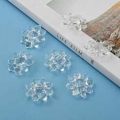 Transparent Acrylic Beads&nbsp;X-TACR-491-01