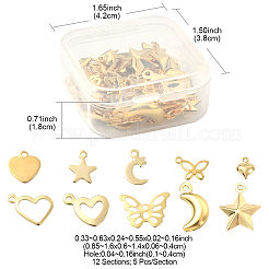 60Pcs 12 Style 304 & 201 Stainless Steel Charms&nbsp;STAS-FS0001-40