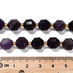 Natural Amethyst Beads Strands&nbsp;G-P568-B01-01