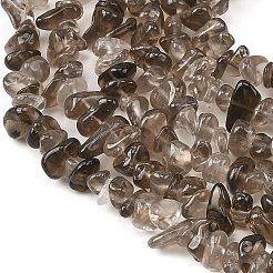 Natural Smoky Quartz Beads Strands&nbsp;G-P622-A01-01