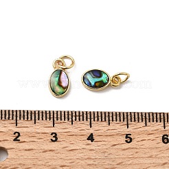 Epoxy Resin & Natural Paua Shell Oval Charms&nbsp;KK-K384-20A-G