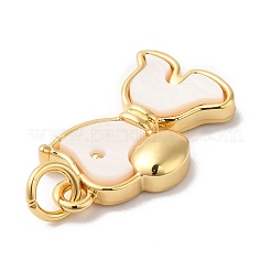Rack Plating Brass Pendants&nbsp;KK-R144-04G