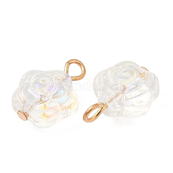 Glass Pendants&nbsp;KK-Q777-14LG